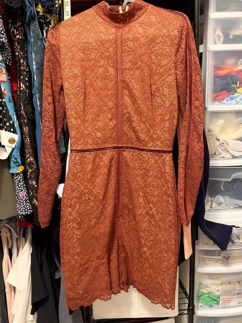 Wilfred Rust Lace Long-Sleeve Mini Dress